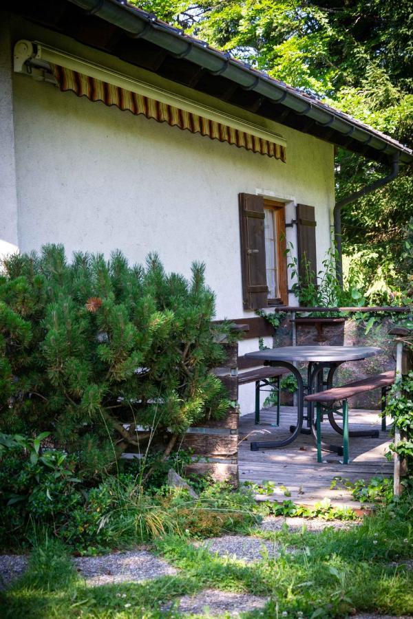 Ferienhaus Schetteregg Exterior photo